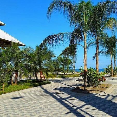 Uw Oasis Hotel Λα Σέιμπα Εξωτερικό φωτογραφία